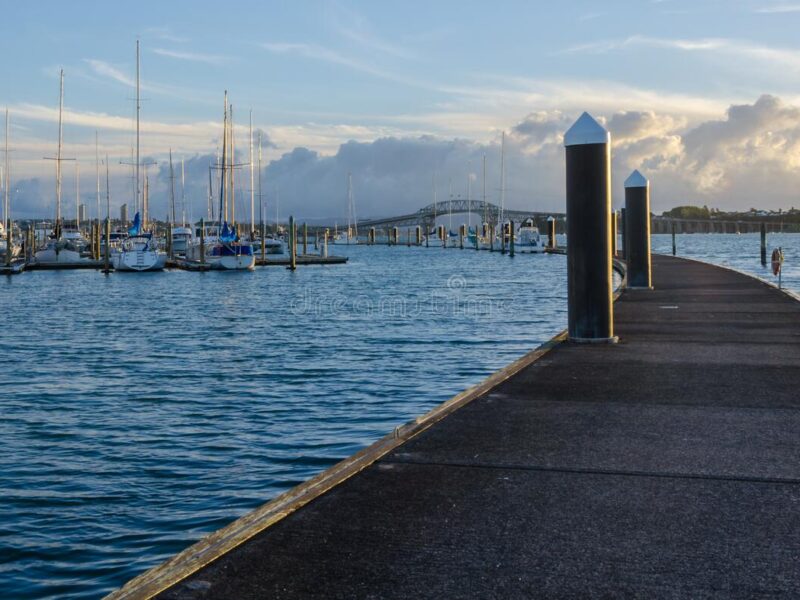 bayswater-marina-auckland-new-zealand-68131679